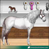 Horse Color:Gray Chocolate Black 