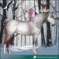 Horse Color:Gray Chocolate Black 
