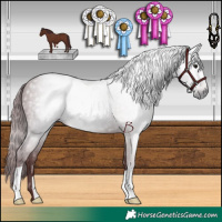 Horse Color:Gray Chocolate Black 