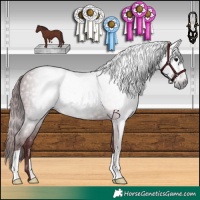 Horse Color:Gray Chocolate Black 