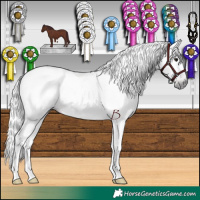 Horse Color:Gray Chocolate Black 