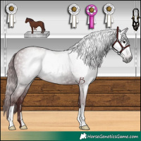 Horse Color:Gray Chocolate Black 