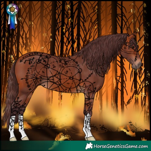 Horse Color:Chocolate Bay 