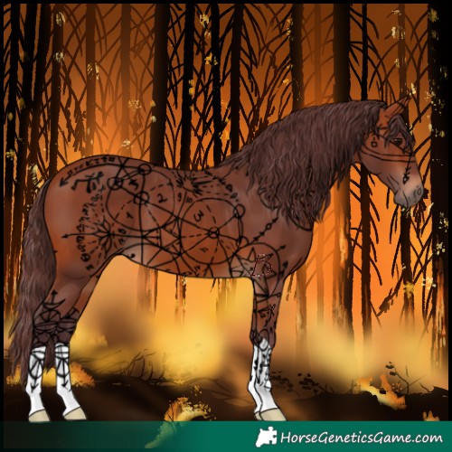 Horse Color:Chocolate Bay 