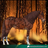 Horse Color:Chocolate Bay 