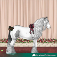 Horse Color:Blue Roan Splash Tobiano 