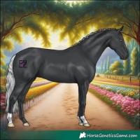 Horse Color:Silver Black Chinchilla 