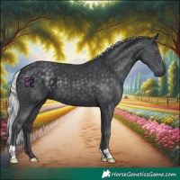 Horse Color:Silver Black Chinchilla 