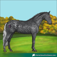 Horse Color:Silver Black Chinchilla