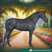 Horse Color:Silver Black Chinchilla