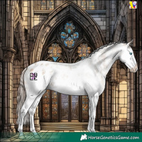 Horse Color:Amber Champagne Sabino Splash Appaloosa