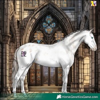 Horse Color:Amber Champagne Sabino Splash Appaloosa 