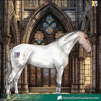 Horse Color:Bay Roan Tobiano Near Leopard