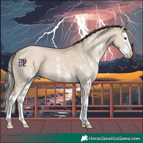 Horse Color:Classic Champagne Dun Sabino Splash