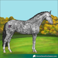 Horse Color:Black Ice 