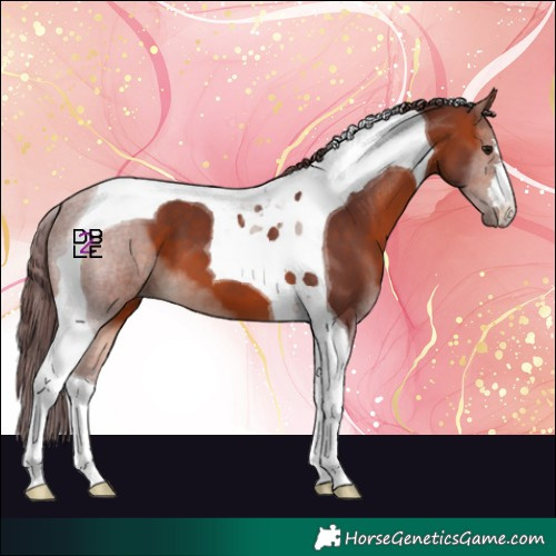 Horse Color:Chocolate Bay Tobiano 