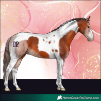 Horse Color:Chocolate Bay Tobiano 