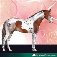 Horse Color:Chocolate Bay Tobiano 