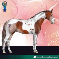 Horse Color:Chocolate Bay Tobiano