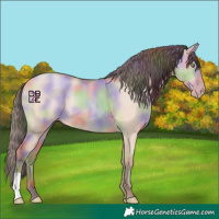 Horse Color:Nacre Amber Champagne Dun