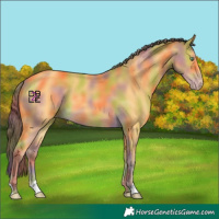 Horse Color:Nacre Amber Cream Champagne 