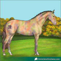 Horse Color:Nacre Amber Cream Champagne 