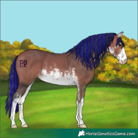 Horse Color:Platinum Painted White Spotted Bay 