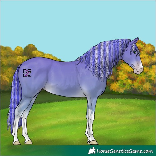 Horse Color:Painted White Spotted Gold Cream Champagne 