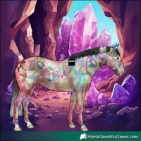 Horse Color:Brown Ice Sabino Tobiano