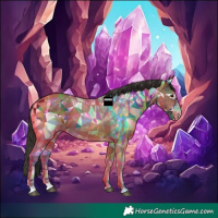 Horse Color:Bay Ice Sabino Tobiano Appaloosa