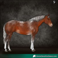 Horse Color:Silver Brown Tobiano 
