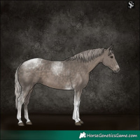 Horse Color:Silver Black Tobiano 