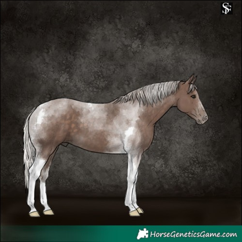 Horse Color:Silver Black Tobiano 