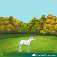 Horse Color:Watercolor White Spotted Silver Amber Champagne Ice Dun 