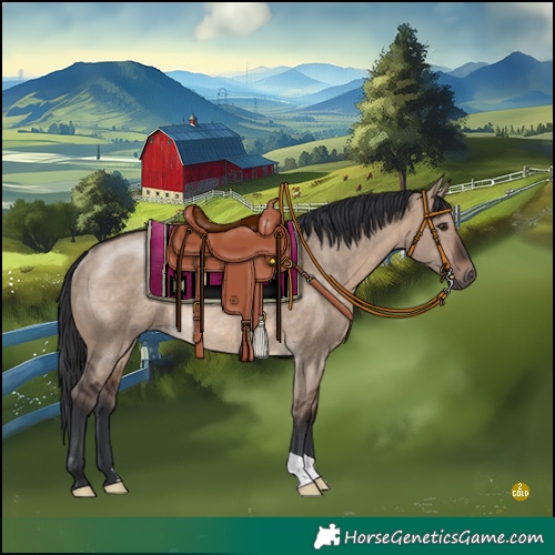 Horse Color:Brown Dun Rabicano 