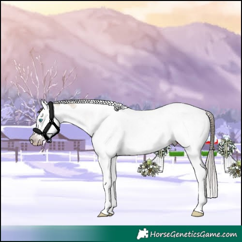 Horse Color:Gray Amber Champagne Dun Sabino Splash Tobiano Varnish Rabicano 