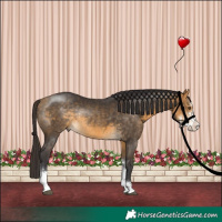 Horse Color:Buckskin Sabino Rabicano
