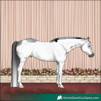 Horse Color:Gray Brown Roan Sabino Frame Rabicano 