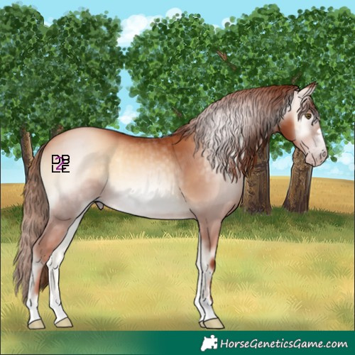 Horse Color:Gray Gold Champagne Onyx 