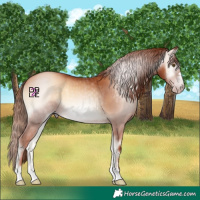 Horse Color:Gray Gold Champagne Onyx 