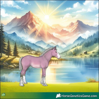 Horse Color:Watercolor Silver Bay Dun 