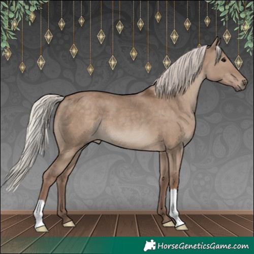 Horse Color:Silver Grullo 