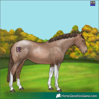 Horse Color:Brown Pearl Mushroom Tobiano 