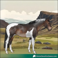 Horse Color:Bay Tobiano 