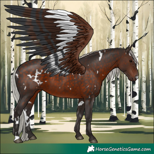 Horse Color:White Spotted Silver Brown 