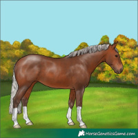 Horse Color:Silver Brown 