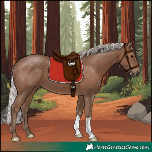 Horse Color:Silver Black 