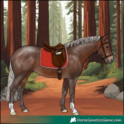 Horse Color:Silver Brown 
