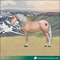 Horse Color:Silver Black Pearl Tobiano 