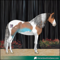 Horse Color:Bay Tobiano Frame 